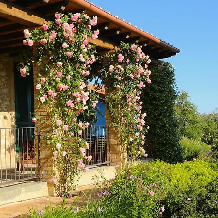 Вілла Casa Maria Мальяно-ін-Тоскана Екстер'єр фото