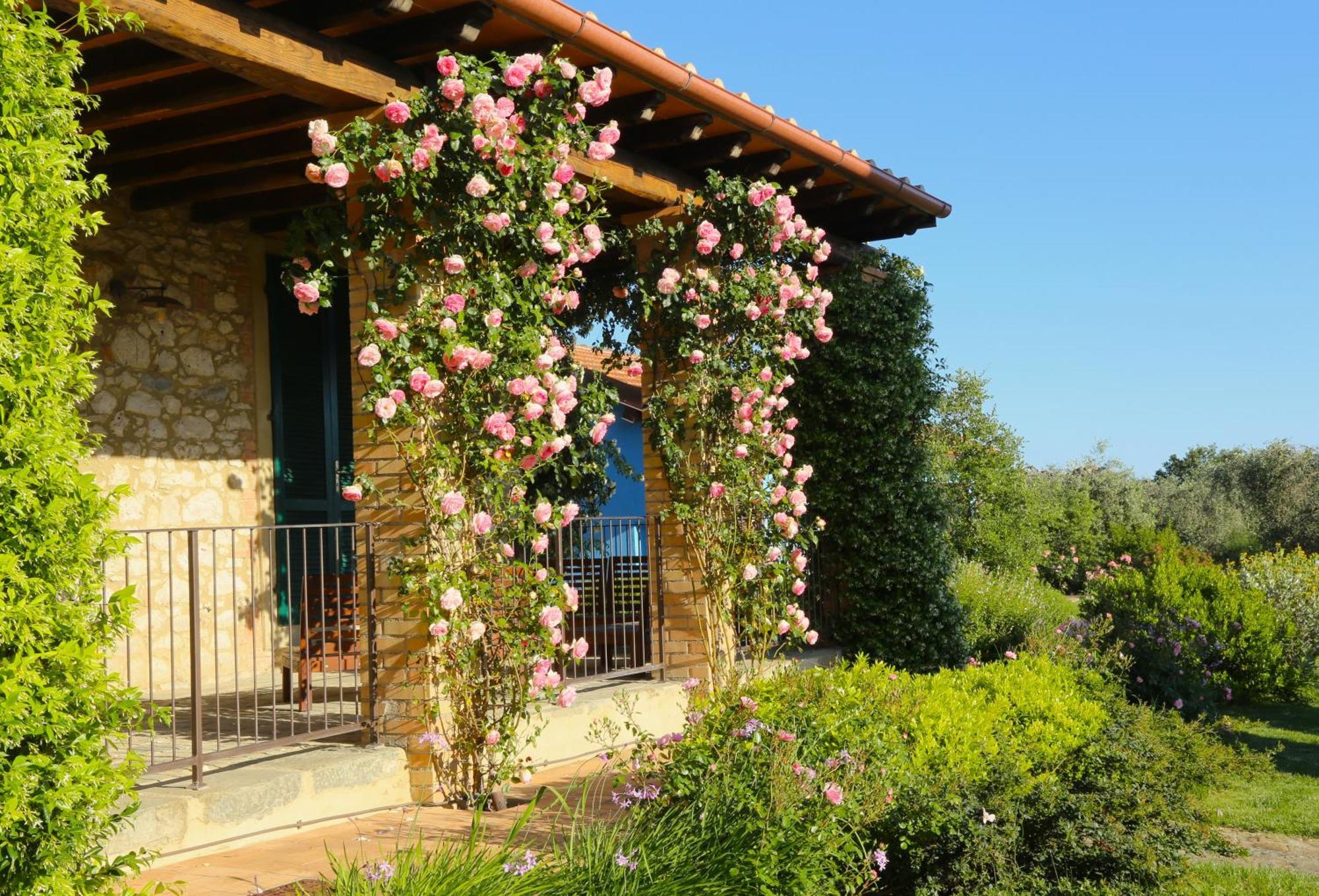 Вілла Casa Maria Мальяно-ін-Тоскана Екстер'єр фото